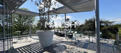 MALSH Realty & Property - Bureau - Lyon Nord Ouest (Techlid / Monts d'Or) - Limonest - 21