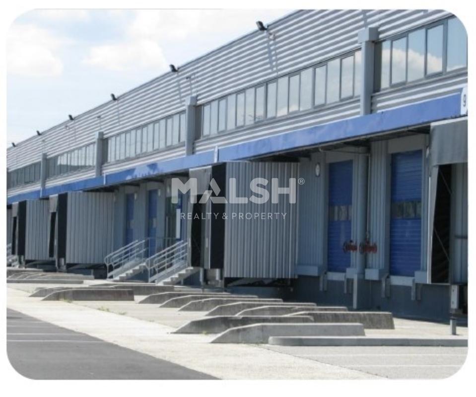 MALSH Realty & Property - Activité - Nord Isère ( Ile d'Abeau / St Quentin Falavier ) - Saint-Quentin-Fallavier - 1