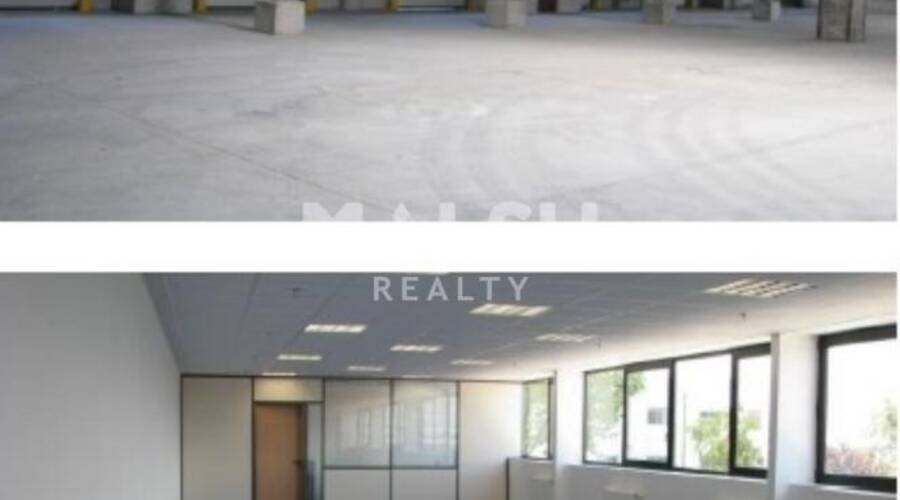 MALSH Realty & Property - Local d'activités - Nord Isère ( Ile d'Abeau / St Quentin Falavier ) - Saint-Quentin-Fallavier - 3