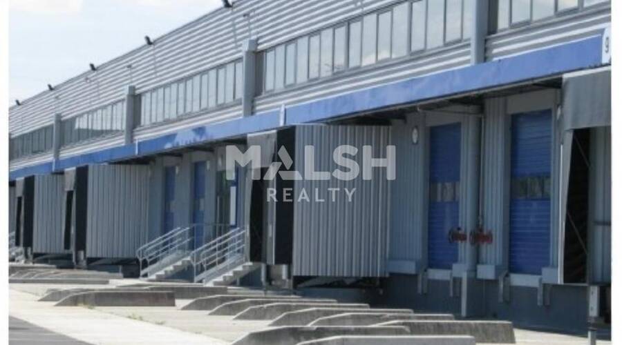 MALSH Realty & Property - Local d'activités - Nord Isère ( Ile d'Abeau / St Quentin Falavier ) - Saint-Quentin-Fallavier - 1