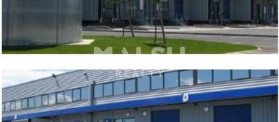 MALSH Realty & Property - Local d'activités - Nord Isère ( Ile d'Abeau / St Quentin Falavier ) - Saint-Quentin-Fallavier - 2