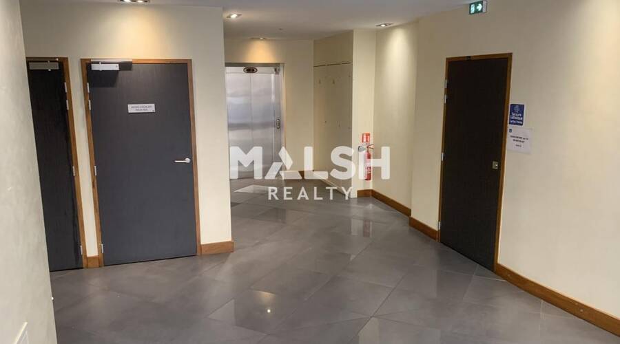 MALSH Realty & Property - Bureau - Carré de Soie / Grand Clément / Bel Air - Villeurbanne - 3