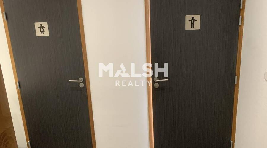 MALSH Realty & Property - Bureau - Carré de Soie / Grand Clément / Bel Air - Villeurbanne - 13
