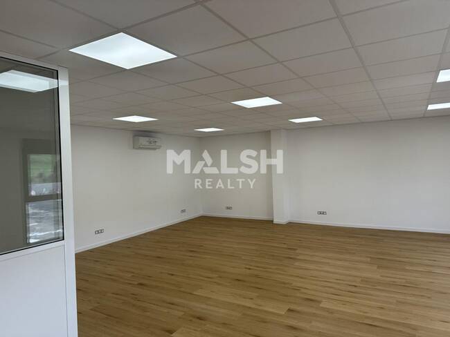 MALSH Realty & Property - Bureau - Nord Isère ( Ile d'Abeau / St Quentin Falavier ) - Heyrieux - 1
