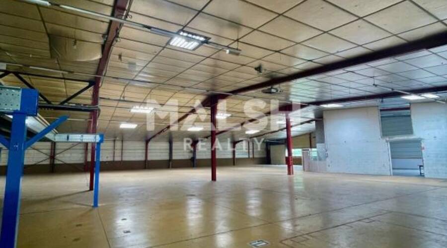 MALSH Realty & Property - Local d'activités - Plateau Nord / Val de Saône - Rillieux-la-Pape - 2