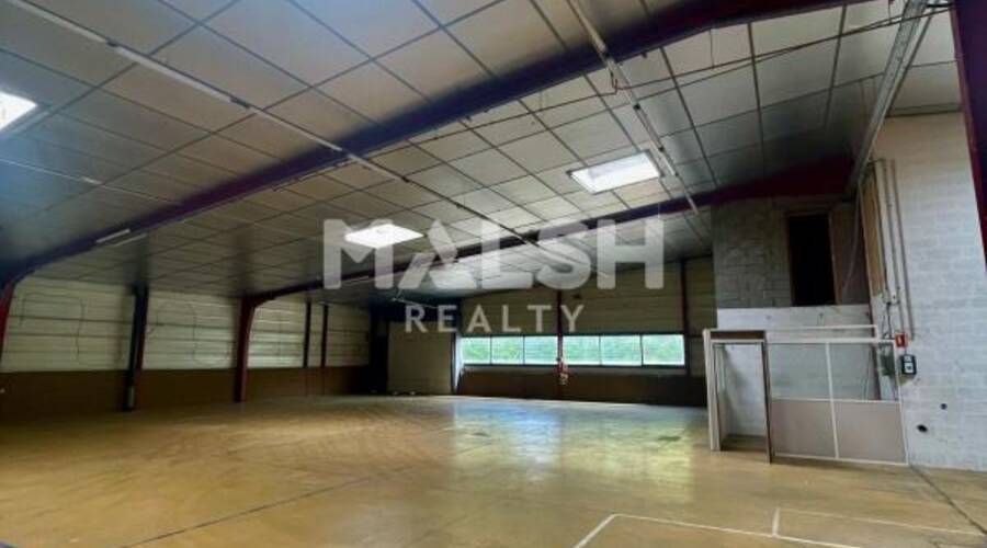 MALSH Realty & Property - Local d'activités - Plateau Nord / Val de Saône - Rillieux-la-Pape - 3