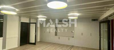 MALSH Realty & Property - Local d'activités - Plateau Nord / Val de Saône - Rillieux-la-Pape - 7
