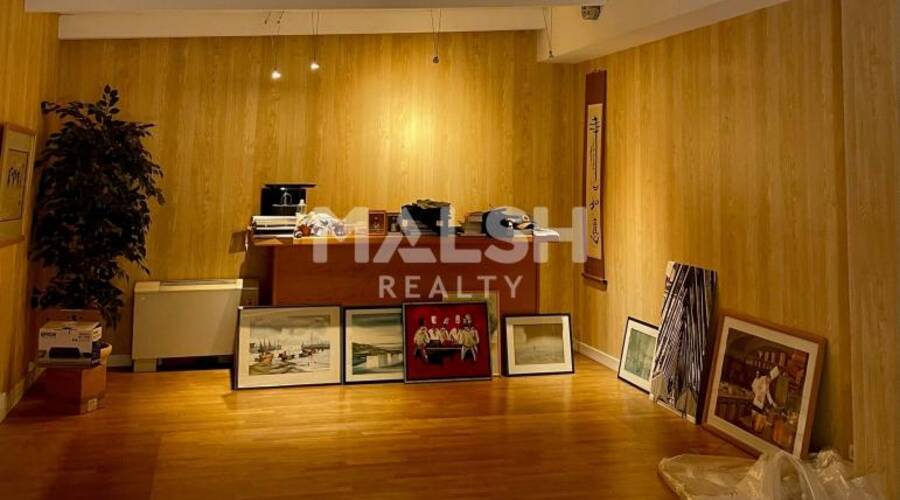 MALSH Realty & Property - Local d'activités - Plateau Nord / Val de Saône - Rillieux-la-Pape - 12