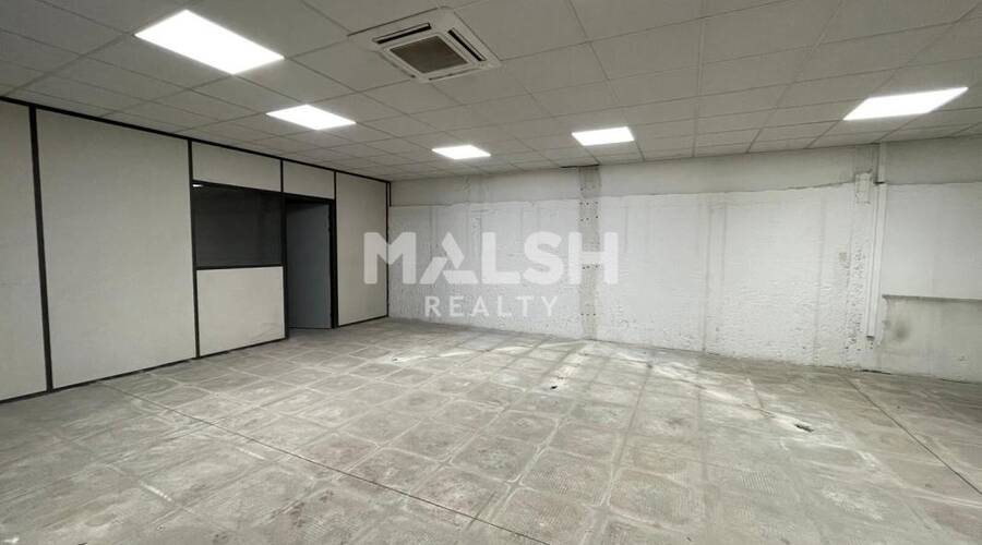 MALSH Realty & Property - Local d'activités - Carré de Soie / Grand Clément / Bel Air - Vaulx-en-Velin - 4
