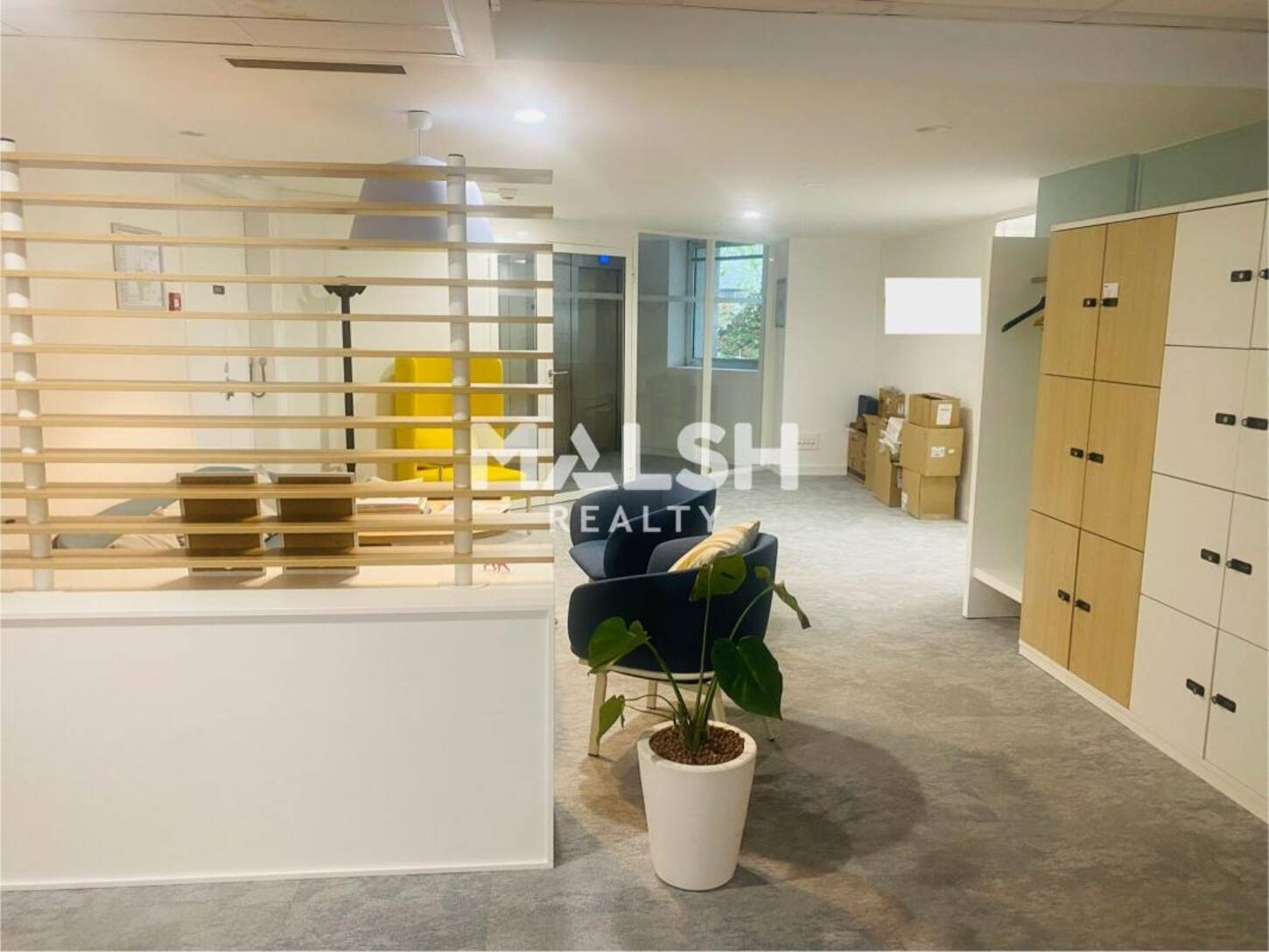 MALSH Realty & Property - Bureau - Lyon 6° - Lyon 6 - 2
