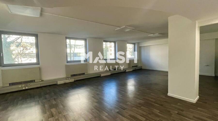 MALSH Realty & Property - Bureau - Carré de Soie / Grand Clément / Bel Air - Villeurbanne - 3