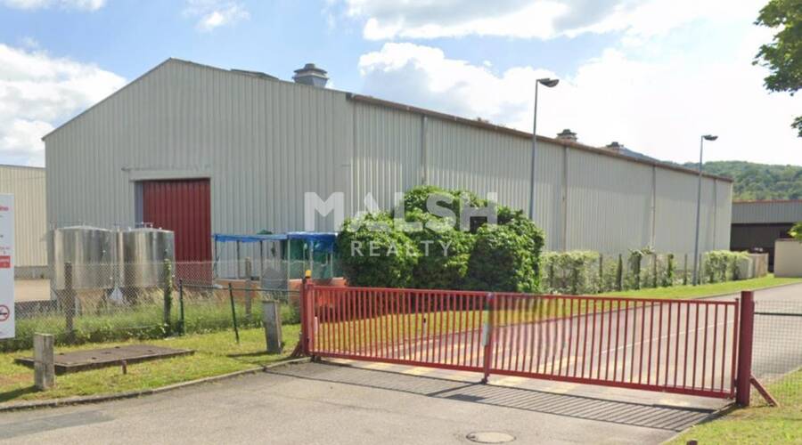 MALSH Realty & Property - Local d'activités - Plateau Nord / Val de Saône - Genay - 7