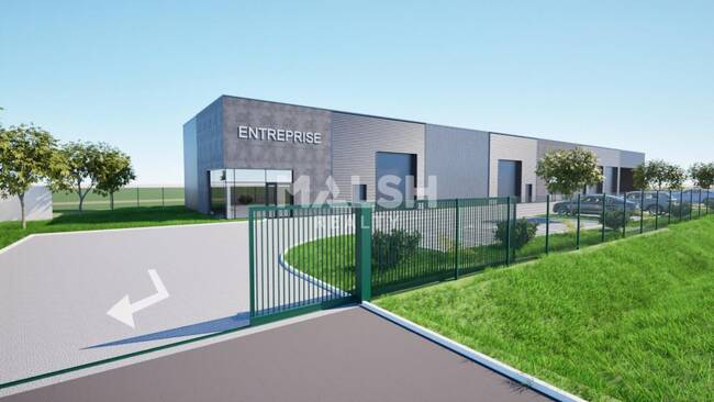 MALSH Realty & Property - Local d'activités - Montbrison - 1