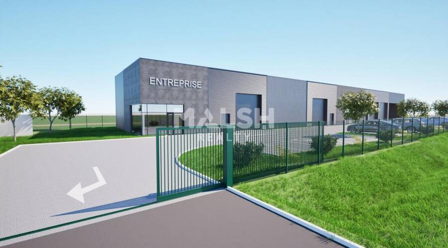MALSH Realty & Property - Local d'activités - Montbrison - 1
