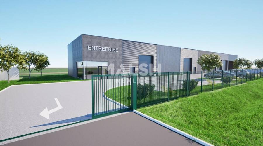 MALSH Realty & Property - Local d'activités - Montbrison - 1