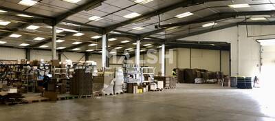 MALSH Realty & Property - Local d'activités - Extérieurs NORD (Villefranche / Belleville) - Alix - 5