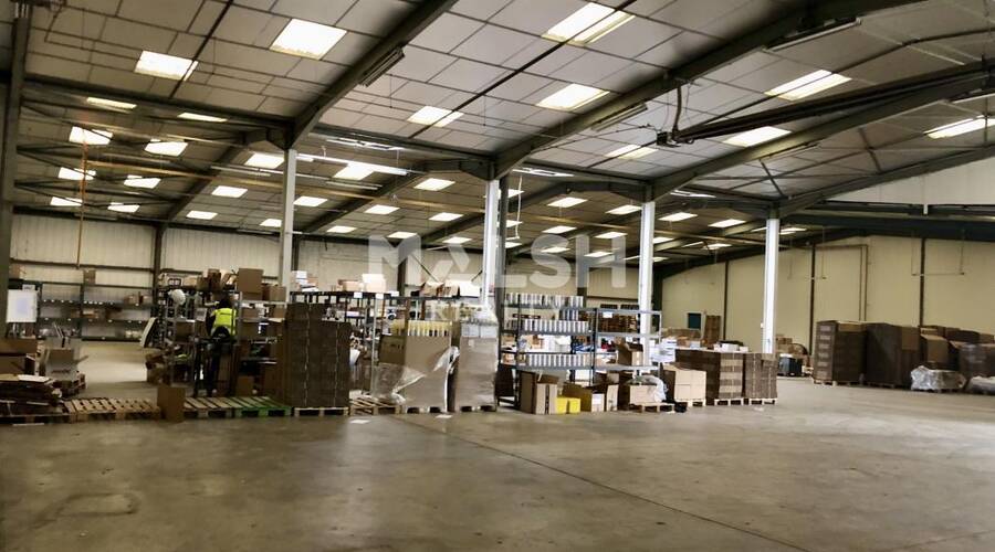 MALSH Realty & Property - Local d'activités - Extérieurs NORD (Villefranche / Belleville) - Alix - 4