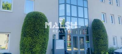 MALSH Realty & Property - Bureau - Lyon 7° / Gerland - Lyon 7 - 1