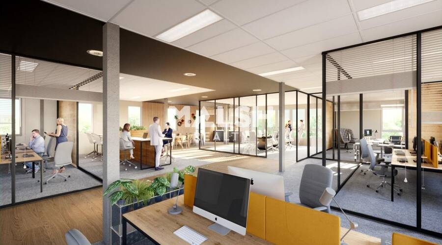 MALSH Realty & Property - Bureau - Lyon Nord Ouest ( Techlide / Monts d'Or ) - Dardilly - 7