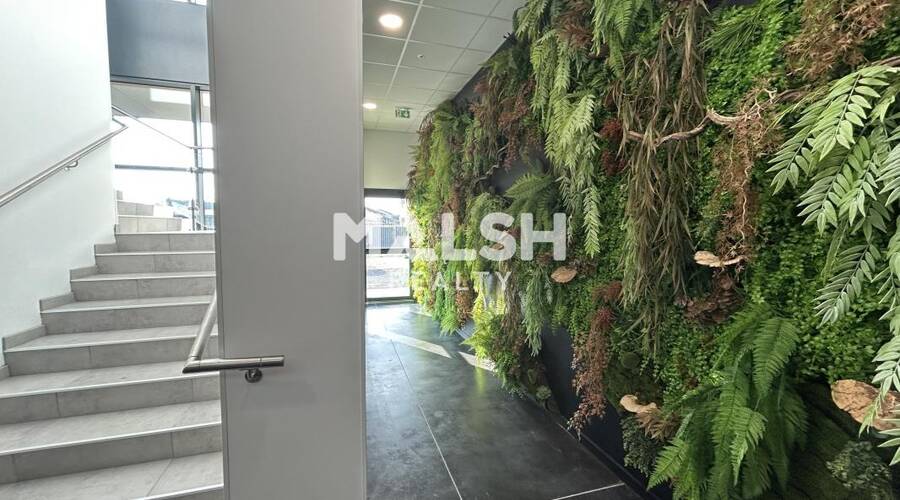 MALSH Realty & Property - Bureau - Lyon Nord Est (Rhône Amont) - Décines-Charpieu - 3