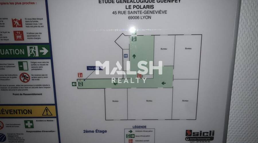 MALSH Realty & Property - Bureau - Lyon 6° - Lyon 6 - 13