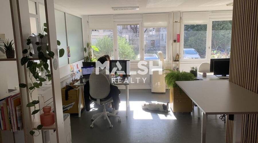 MALSH Realty & Property - Bureau - Lyon 6° - Lyon 6 - 6