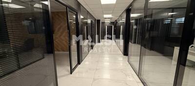 MALSH Realty & Property - Local d'activités - Lyon EST (St Priest /Mi Plaine/ A43 / Eurexpo) - Bron - 21