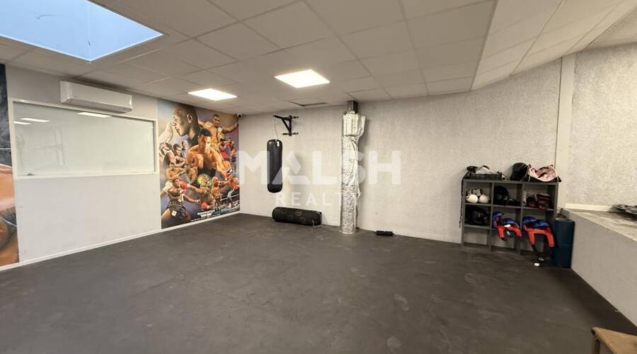 MALSH Realty & Property - Local d'activités - Lyon EST (St Priest /Mi Plaine/ A43 / Eurexpo) - Bron - 16