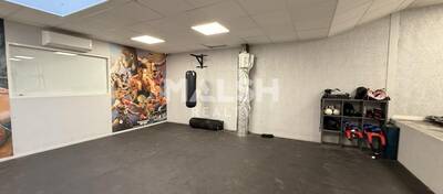 MALSH Realty & Property - Local d'activités - Lyon EST (St Priest /Mi Plaine/ A43 / Eurexpo) - Bron - 16