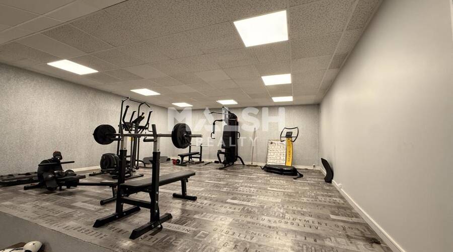MALSH Realty & Property - Local d'activités - Lyon EST (St Priest /Mi Plaine/ A43 / Eurexpo) - Bron - 17