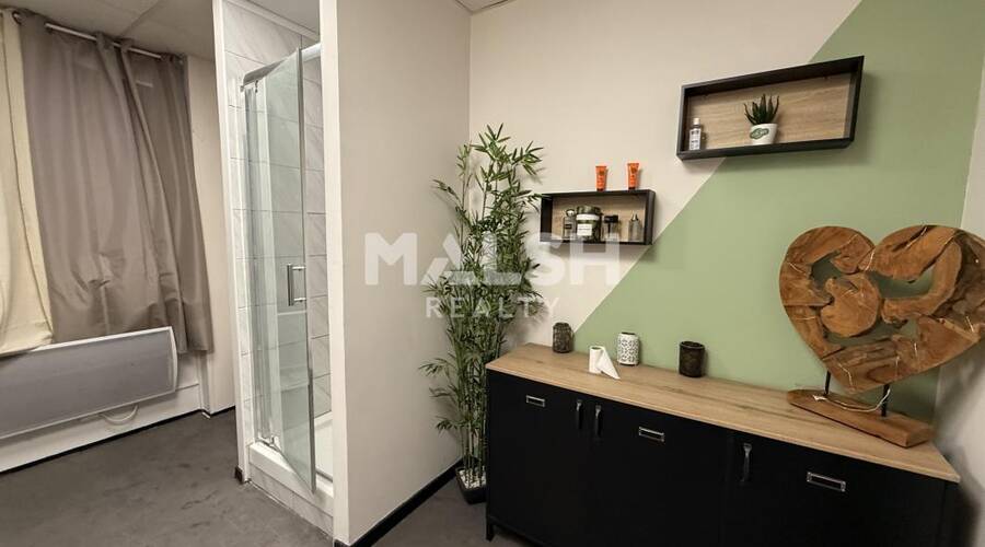 MALSH Realty & Property - Local d'activités - Lyon EST (St Priest /Mi Plaine/ A43 / Eurexpo) - Bron - 19