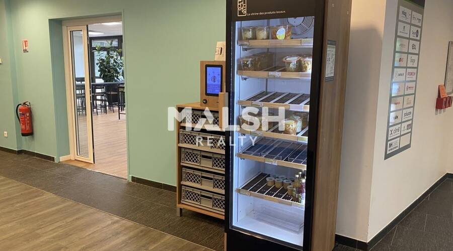 MALSH Realty & Property - Bureau - Lyon Nord Ouest (Techlid / Monts d'Or) - Limonest - 17
