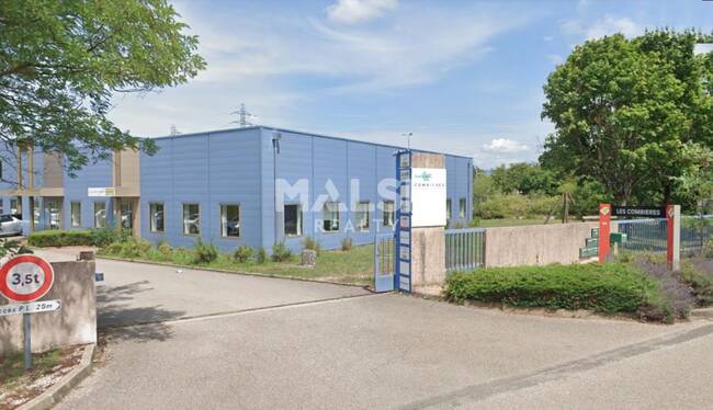 MALSH Realty & Property - Local d'activités - Plaine de l'Ain - Blyes - 1