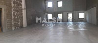 MALSH Realty & Property - Local d'activités - Plaine de l'Ain - Blyes - 3