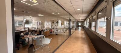 MALSH Realty & Property - Local d'activités - Carré de Soie / Grand Clément / Bel Air - Vaulx-en-Velin - 5