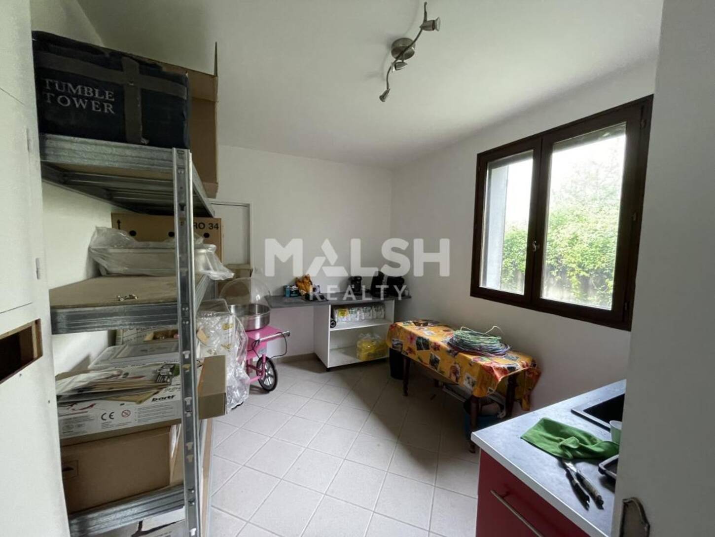 MALSH Realty & Property - Local d'activités - Lyon Nord Ouest (Techlid / Monts d'Or) - Sainte-Consorce - 2