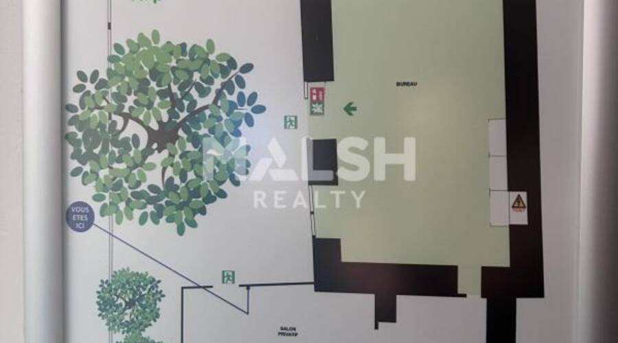 MALSH Realty & Property - Local commercial - Lyon Nord Ouest (Techlid / Monts d'Or) - Écully - 4