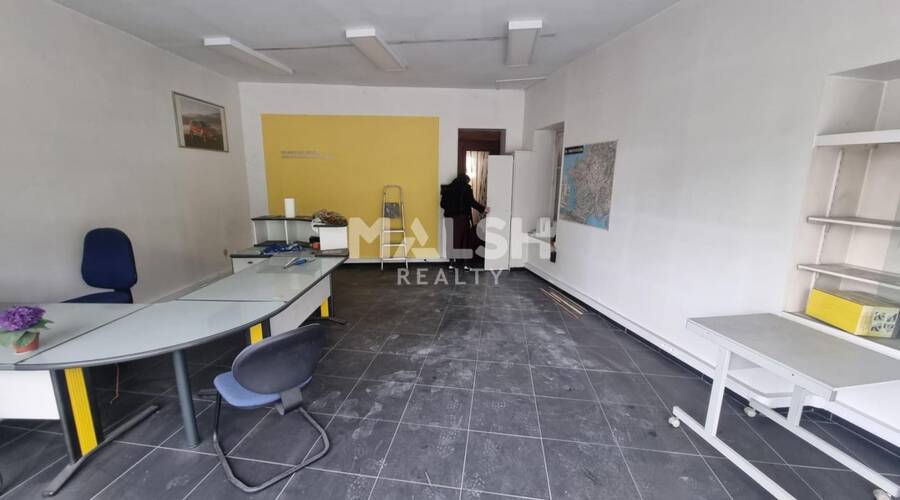 MALSH Realty & Property - Local d'activités - Lyon Sud Ouest - Oullins - 3