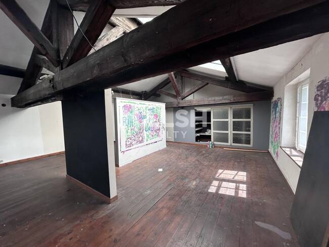 MALSH Realty & Property - Local commercial - Plateau Nord / Val de Saône - Caluire-et-Cuire - 1