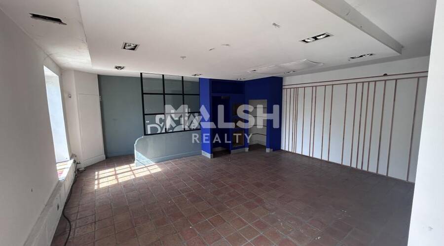 MALSH Realty & Property - Local commercial - Plateau Nord / Val de Saône - Caluire-et-Cuire - 4