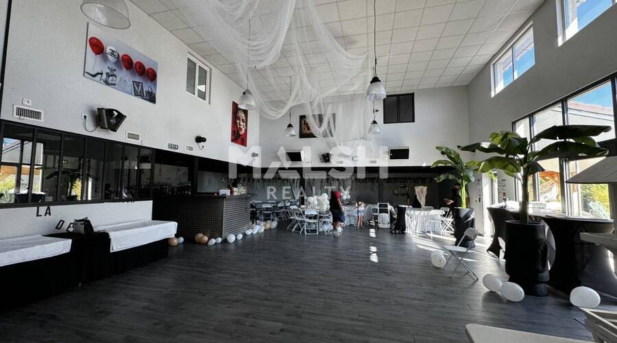 MALSH Realty & Property - Local d'activités - Lyon EST (St Priest /Mi Plaine/ A43 / Eurexpo) - Anthon - 2