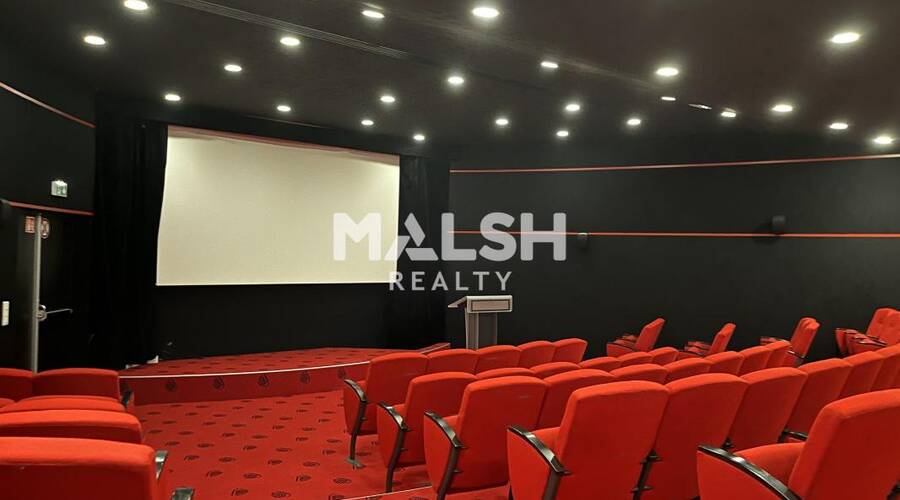 MALSH Realty & Property - Bureau - Lyon 9° / Vaise - Lyon 9 - 17