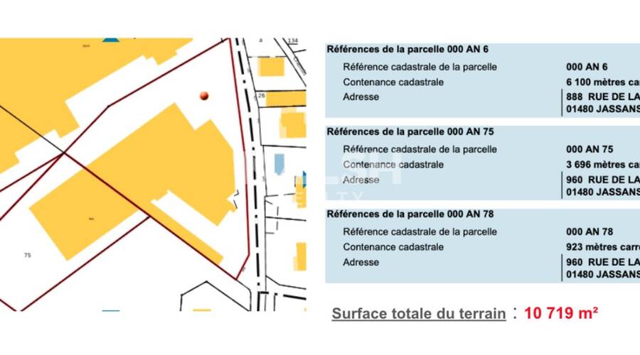 MALSH Realty & Property - Local d'activités - Extérieurs NORD (Villefranche / Belleville) - Jassans-Riottier - 12