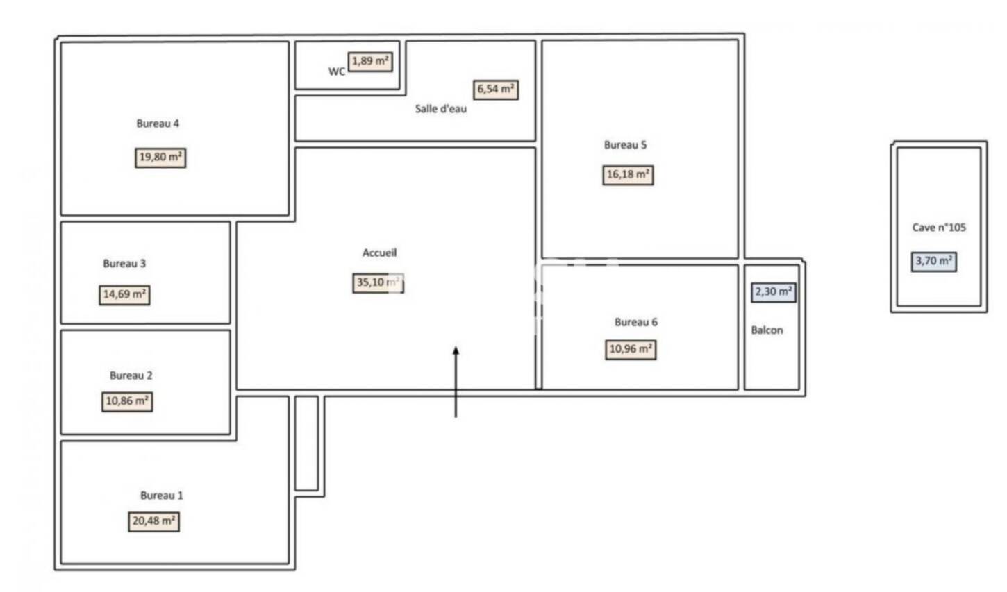 MALSH Realty & Property - Bureau - Lyon 6° - Lyon 6 - 2