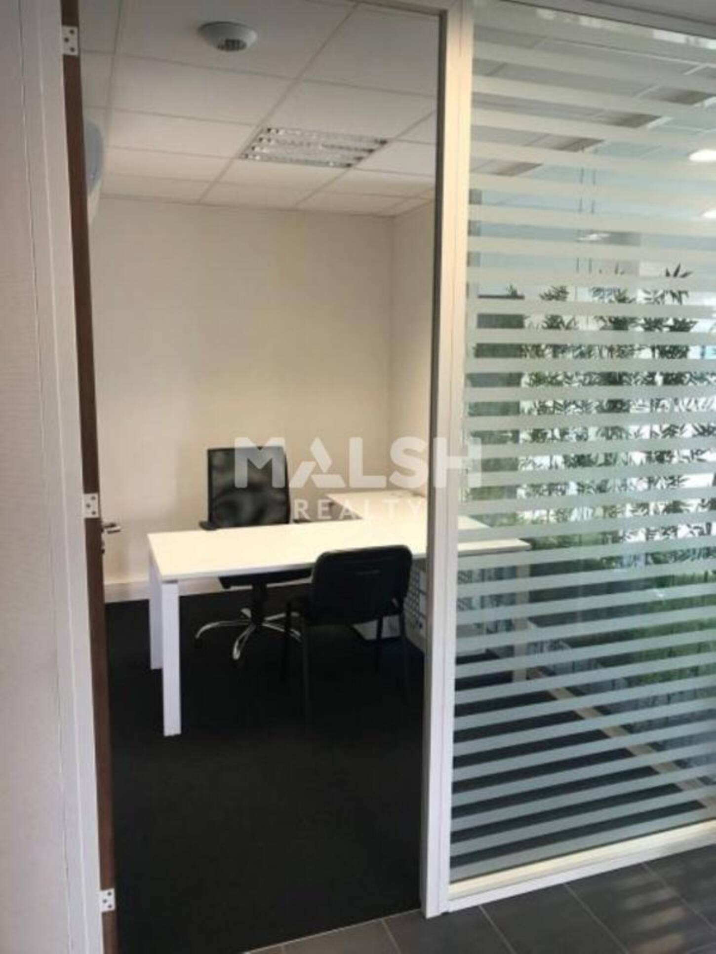 MALSH Realty & Property - Local d'activités - Carré de Soie / Grand Clément / Bel Air - Vaulx-en-Velin - 2