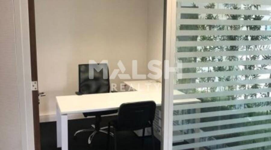 MALSH Realty & Property - Local d'activités - Carré de Soie / Grand Clément / Bel Air - Vaulx-en-Velin - 2