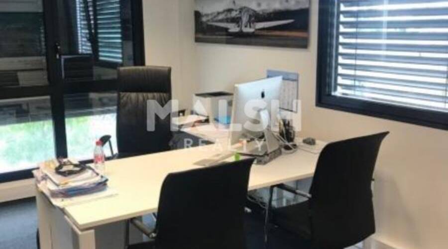 MALSH Realty & Property - Local d'activités - Carré de Soie / Grand Clément / Bel Air - Vaulx-en-Velin - 3