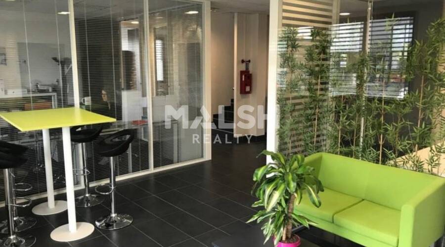 MALSH Realty & Property - Local d'activités - Carré de Soie / Grand Clément / Bel Air - Vaulx-en-Velin - 4