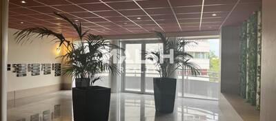 MALSH Realty & Property - Bureau - Plateau Nord / Val de Saône - Caluire-et-Cuire - 11