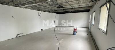 MALSH Realty & Property - Local d'activités - Lyon EST (St Priest /Mi Plaine/ A43 / Eurexpo) - Saint-Priest - 9